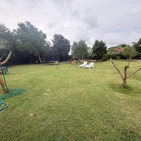 Apartment Babina Hiza Pula